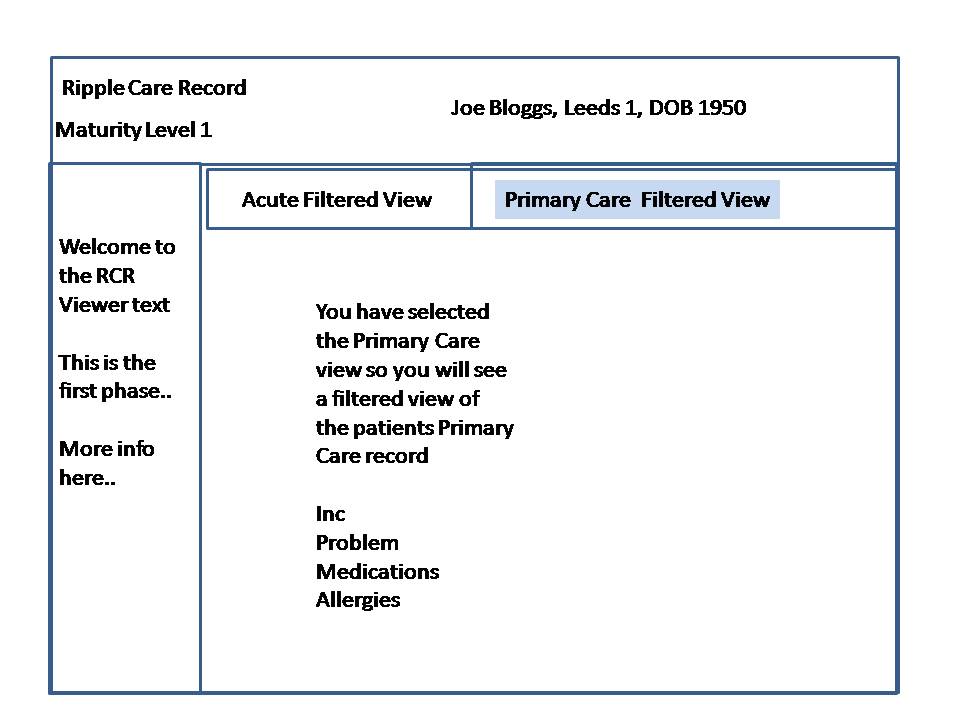 Maturity Model Level 1