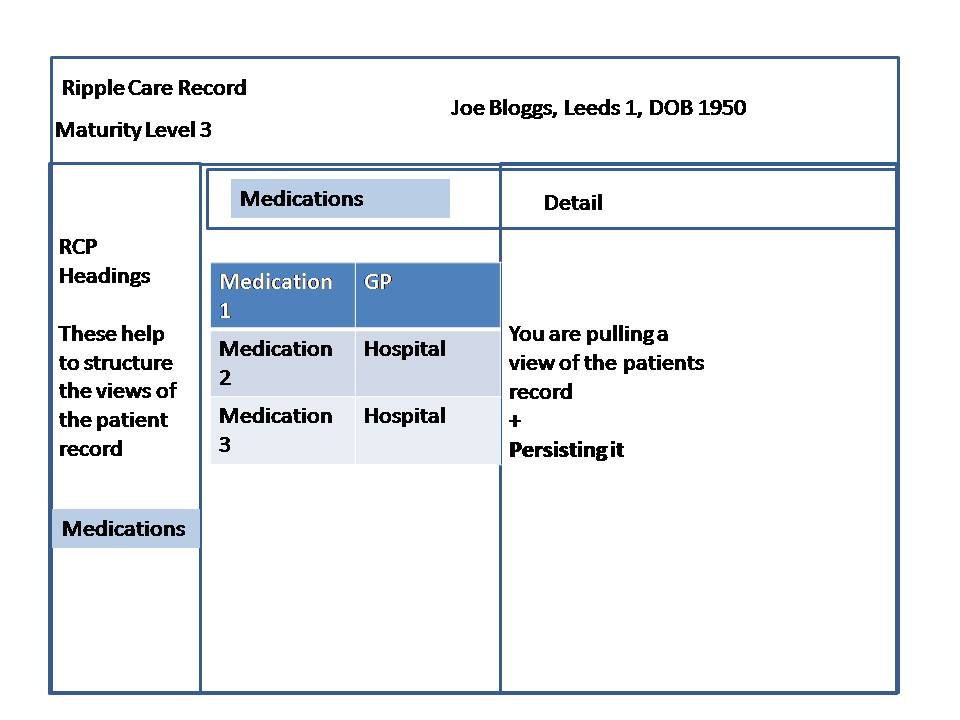 Maturity Model Level 3