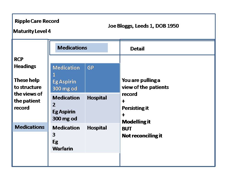 Maturity Model Level 4