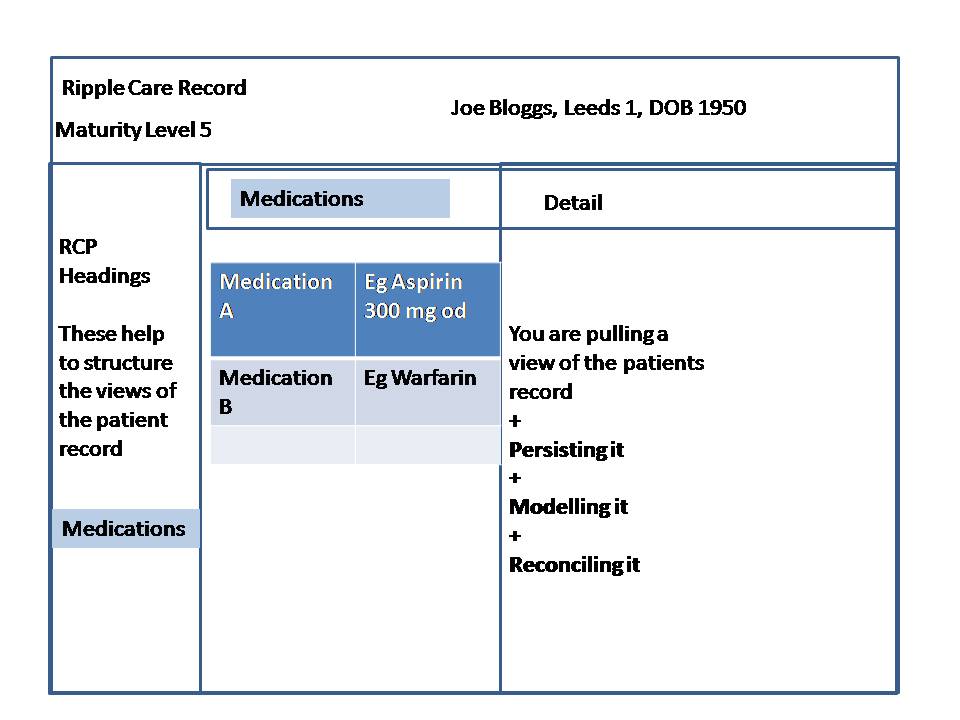 Maturity Model Level 5